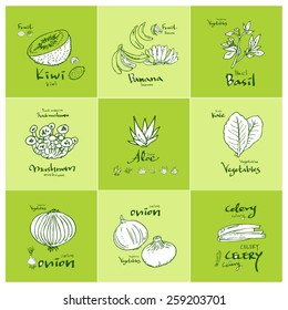 Set of food ingredients - vector illustrations