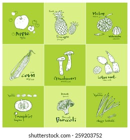 Set of food ingredients - vector illustrations