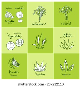 Set of food ingredients - vector illustrations