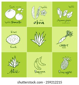 Set of food ingredients - vector illustrations