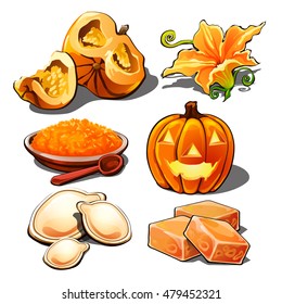 The set of food items and holiday decorations made out of ripe orange pumpkin isolated on a white background. Jack lantern for Halloween holiday. Vector illustration.