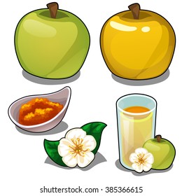 A set of food products from ripe green apples. Vector illustration.
