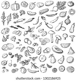 Set of food. Vector cartoon illustrations. Isolated objects on a white background. Vegetarian food. Vegetables, fruits, nuts, mushrooms and berries. Hand-drawn style.