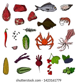 Set of food. Vector cartoon illustrations. Isolated objects on a white background. Hand-drawn style.