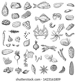 Set of food. Vector cartoon illustrations. Isolated objects on a white background. Hand-drawn style.