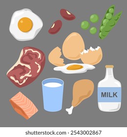 Conjunto de Vector de alimentos, ilustración. varios alimentos de proteína para la comida. objeto aislado lindo y simple. 