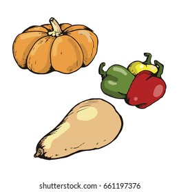 Set foods vector. Pepper. Pumpkin. Illustration. Cartoon style