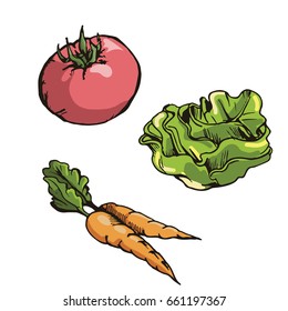 Set foods vector. Tomato. Carrot. Lettuce. Illustration. Cartoon style