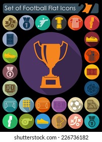 Set of football flat icons
