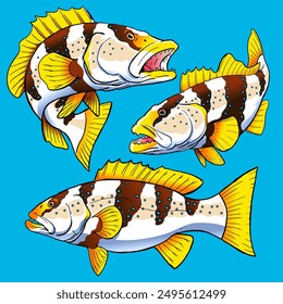set of Footballer Trout fish for gamefish bundle collection