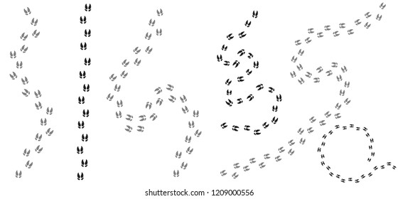 Set of Footpath trail of pig prints walking randomly. New year tracks. Vector illustration. Isolated on white background.