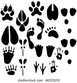 1,009 Duck Footprints Silhouette Images, Stock Photos & Vectors 