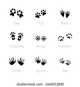 Set of footprints animals, illustration of a black silhouette