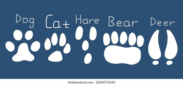 Set of footprints of different animals, cat, dog, bear, hare, deer. Vector hand drawn illustration