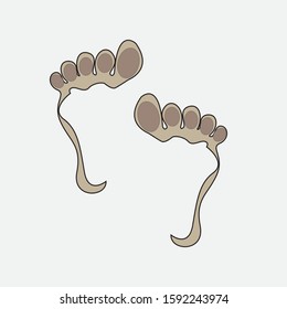 Set of footprints shoes icon vector sign isolated on white background. Set of footprints shoes symbol template color editable