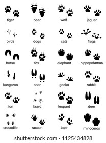 Set of footprints of wild animals, illustration of black silhouette