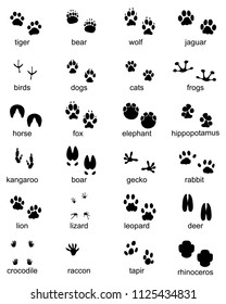 Set of footprints of wild animals, illustration of black silhouette