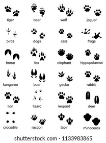 Set of footprints of wild animals, illustration of black silhouette