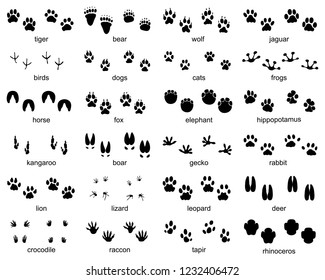 Set of footprints of wild animals, illustration of black silhouette