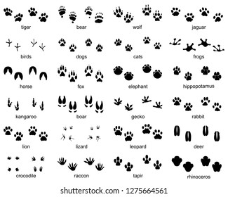 Vector Set Walking Farm Animal Tracks Stock Vector (Royalty Free ...