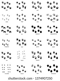 Set of footprints of wild animals on a white background