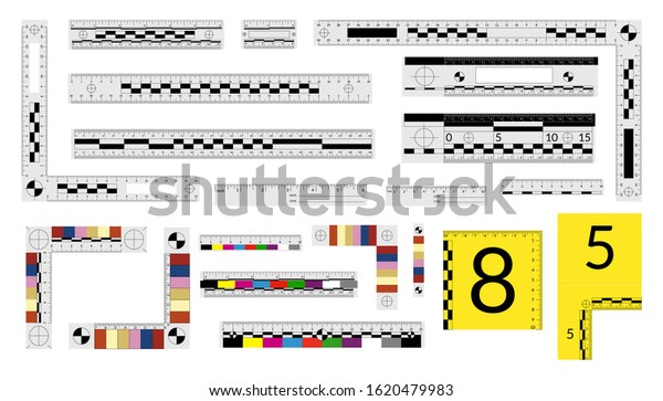 set forensic rulers police detectives measure stock vector royalty free 1620479983 shutterstock