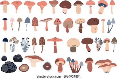 Set of a forest abstract mushroom,  toadstool,  black truffle, chanterelles,  isolated, transparent background. Symbol, icon, vector illustration, botanical, elements, style minimalist, hand drawn. 