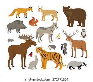 Set of Forest Animals