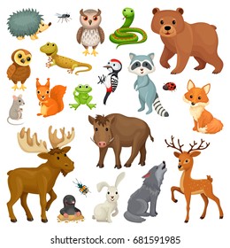 Set of forest animals, birds in a cartoon style. Vector illustration isolated on a white background.