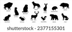 Set of forest animals black silhouette. Flat vector illustration isolated on a white background. Bear, wolf, fox, mouse, otter, squirrel, boar, deer, racoon, hadgehog, bison, beaver	