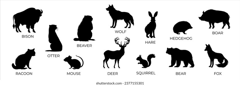 Set of forest animals black silhouette. Flat vector illustration isolated on a white background. Bear, wolf, fox, mouse, otter, squirrel, boar, deer, racoon, hadgehog, bison, beaver	