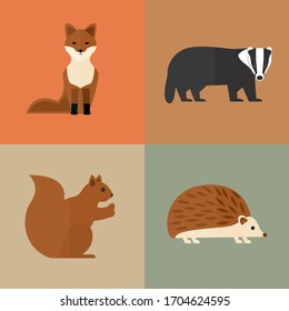 set of forest animals fox squirrel badger hedgehog vector on red brown green wildlife beast