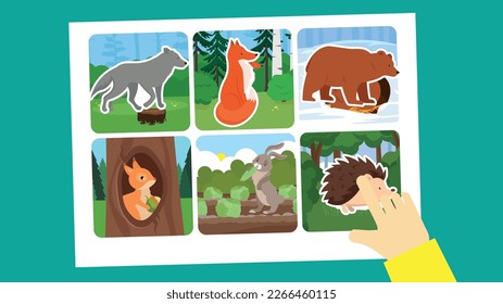 Set von Waldtiersymbolen. Vektorgrafik im flachen Cartoon-Stil.