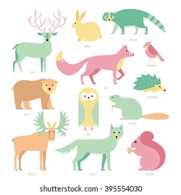 Set of forest animals made in flat style vector. Zoo cartoon collection for children books and posters. Wolf, reindeer, moose, racoon, fox,bear and other mammals. Each animal isolated and easy to use.
