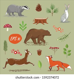 Set of forest animals and natural elements