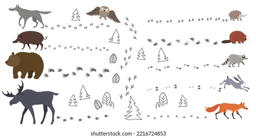 Eine Reihe von Waldtieren und ihren Fußspuren - Hasen, Fuchs, Wildschwein, Wolf, Bär, Elch, Igel, Biber und Raccoon. Vektorgrafik, handgezeichnet.