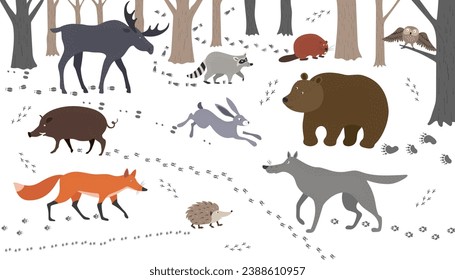 Un conjunto de animales del bosque y sus huellas: liebre, zorro, jabalí, lobo, oso, alce, erizo, castor y mapache. Ilustración dibujada a mano por vectores.