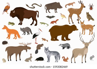 Set of forest animals vector. Cute bundle of animals illustration. 