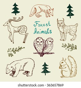 Set of forest animals. Vector illustration.