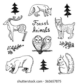 Set of forest animals. Vector illustration.