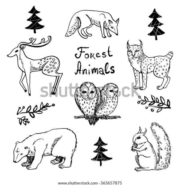 Set Forest Animals Vector Illustration Stock Vector (Royalty Free ...