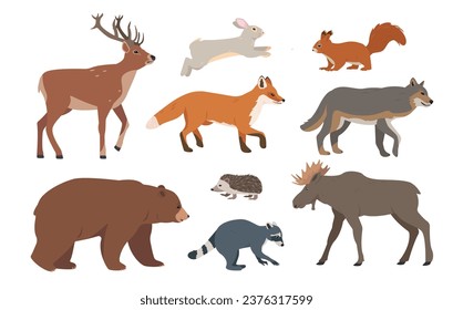 Set of Forest animals. Wild woodland mammal animal characters in different poses. Vector icons illustration isolated on white background.