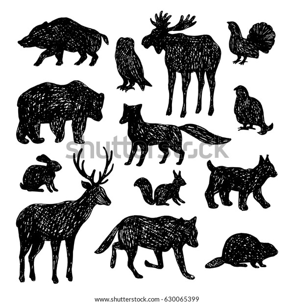 森の動物のセット ベクター手描きのイラスト のベクター画像素材 ロイヤリティフリー