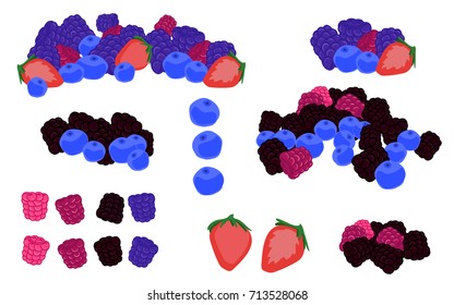 set of forest berries and compositions of berries.