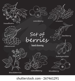 Set of forest berries on dark background. Vector illustration for your design