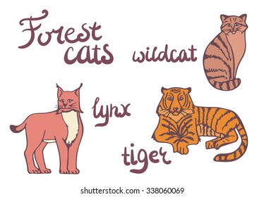 Set of forest cats isolated illustrations. Wild can, lynx and tiger. 
