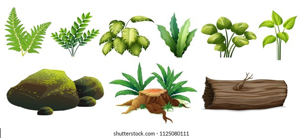 A Set of Forest Element illustration