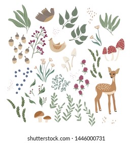 Set of forest elements, cute kids style, florals, deer, birds, mushrooms and berries