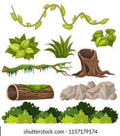 A set of forest elements illustration