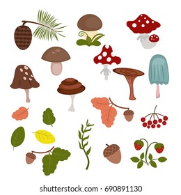 Set of forest elements. Include grass, berries, flowers and mushrooms.